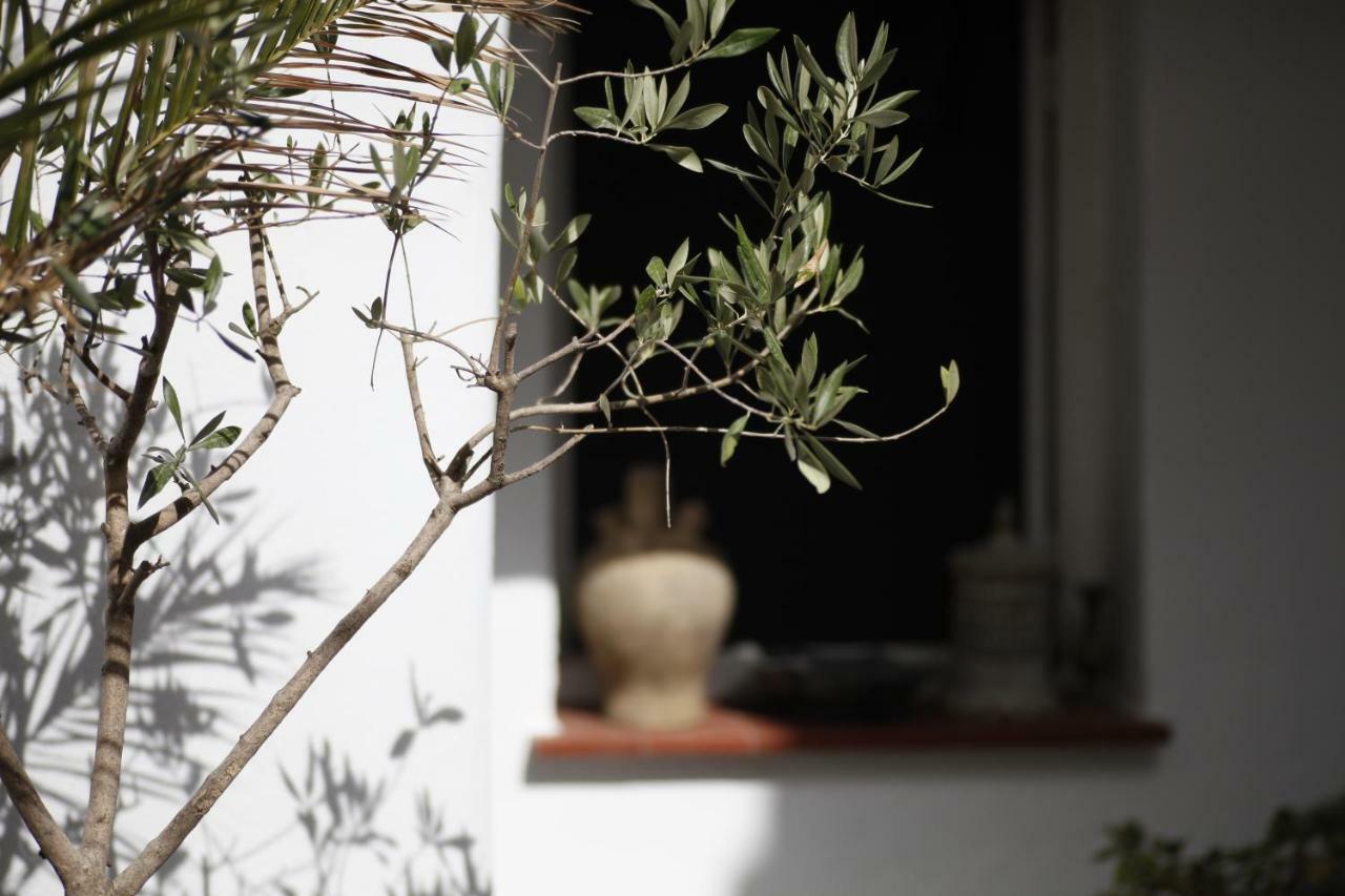 Apartamento Casa Amaro Vejer de la Frontera Exterior foto