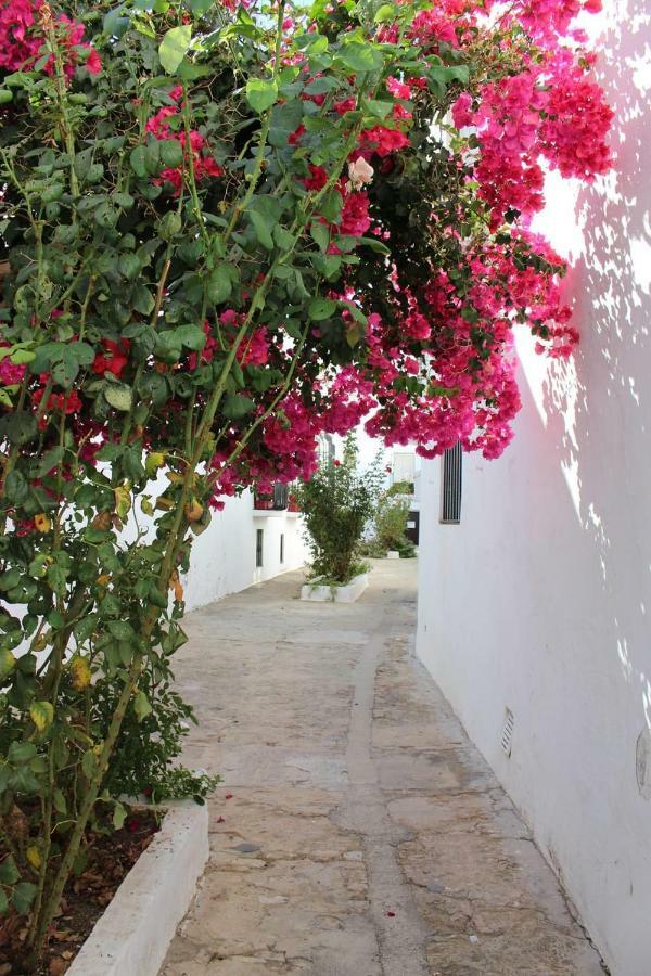 Apartamento Casa Amaro Vejer de la Frontera Exterior foto